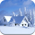 winter wallpaper 4k android application logo